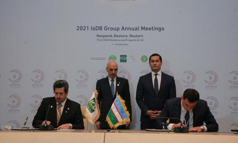 Islamic Corporation for the Development of the Private Sector (ICD)