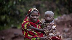 United Nations High Commissioner for Refugees (UNHCR)