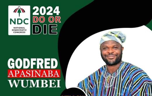 Godfred Apasinaba Wumbei