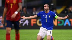 Giorgio Chiellini has played 114 times for his country