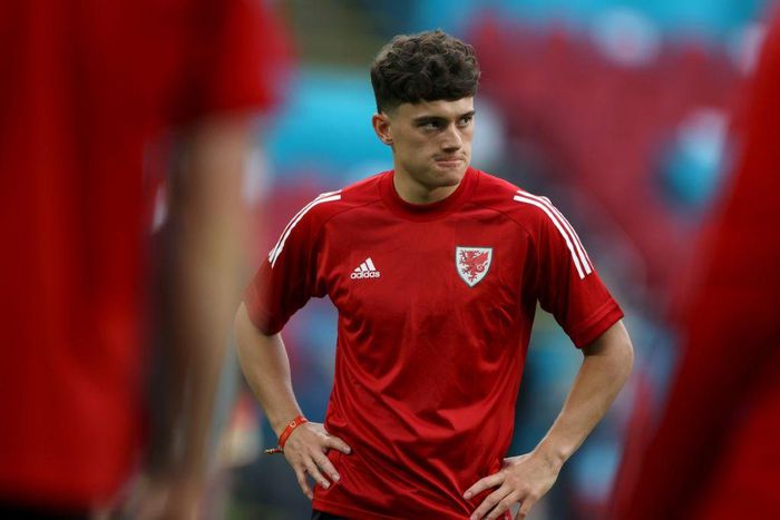 Wales winger Daniel James