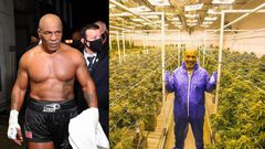 Mike Tyson: Malawi wants ex-boxer to be its cannabis ambassador