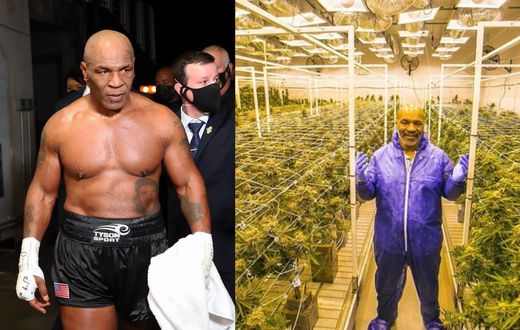 Mike Tyson: Malawi wants ex-boxer to be its cannabis ambassador
