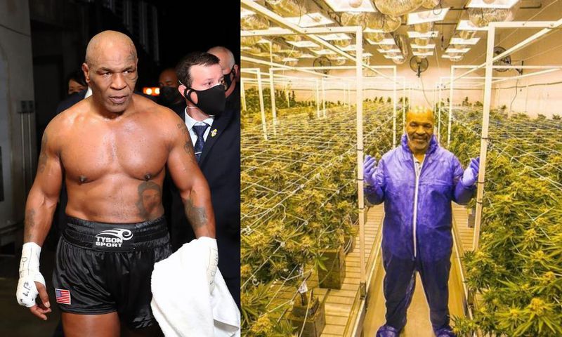 Mike Tyson: Malawi wants ex-boxer to be its cannabis ambassador