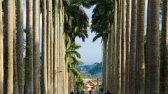 Aburi Botanical Garden
