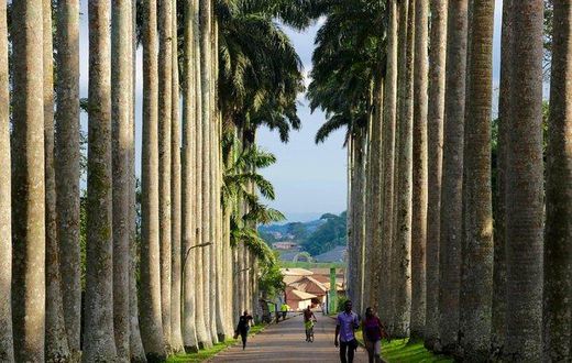 Aburi Botanical Garden