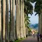 Aburi Botanical Garden