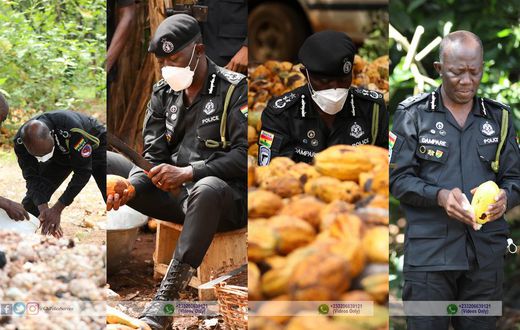 Inspector-General of Police and his team join cocoa farmers on Farmers' Day