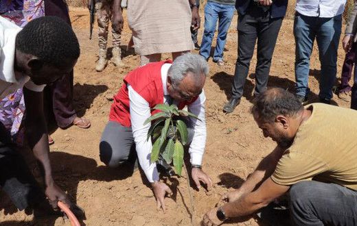 Turkish Cooperation and Coordination Agency (TIKA)