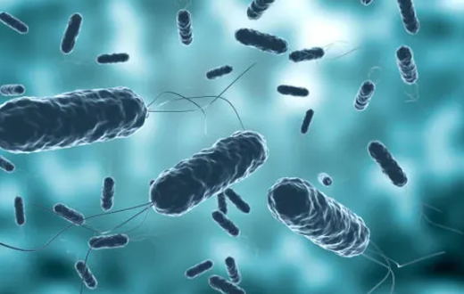 Cholera