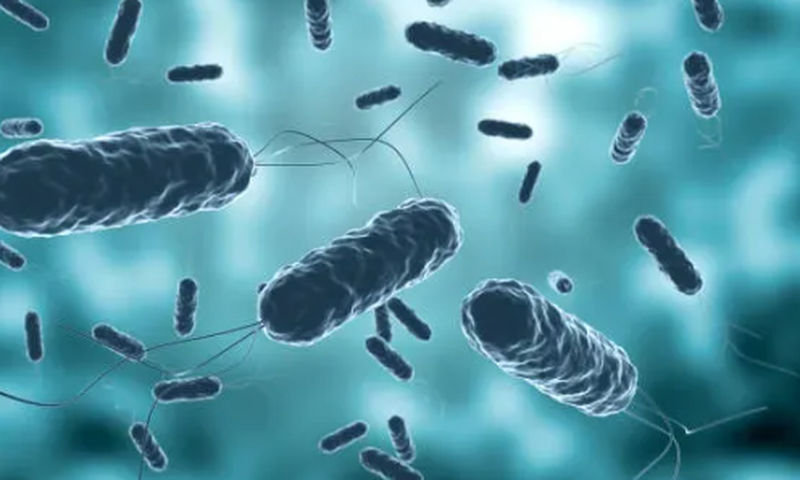 Cholera