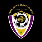 Tema Youth logo