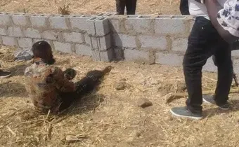Gospel musician confesses to killing girlfriend after being caught with human head