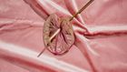 6 types of orgasms you probably didn't know about