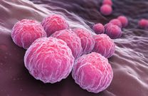 Here are 5 sexually transmitted diseases you should watch out for in 2025