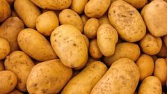 5 reasons you should eat potatoes regularly
