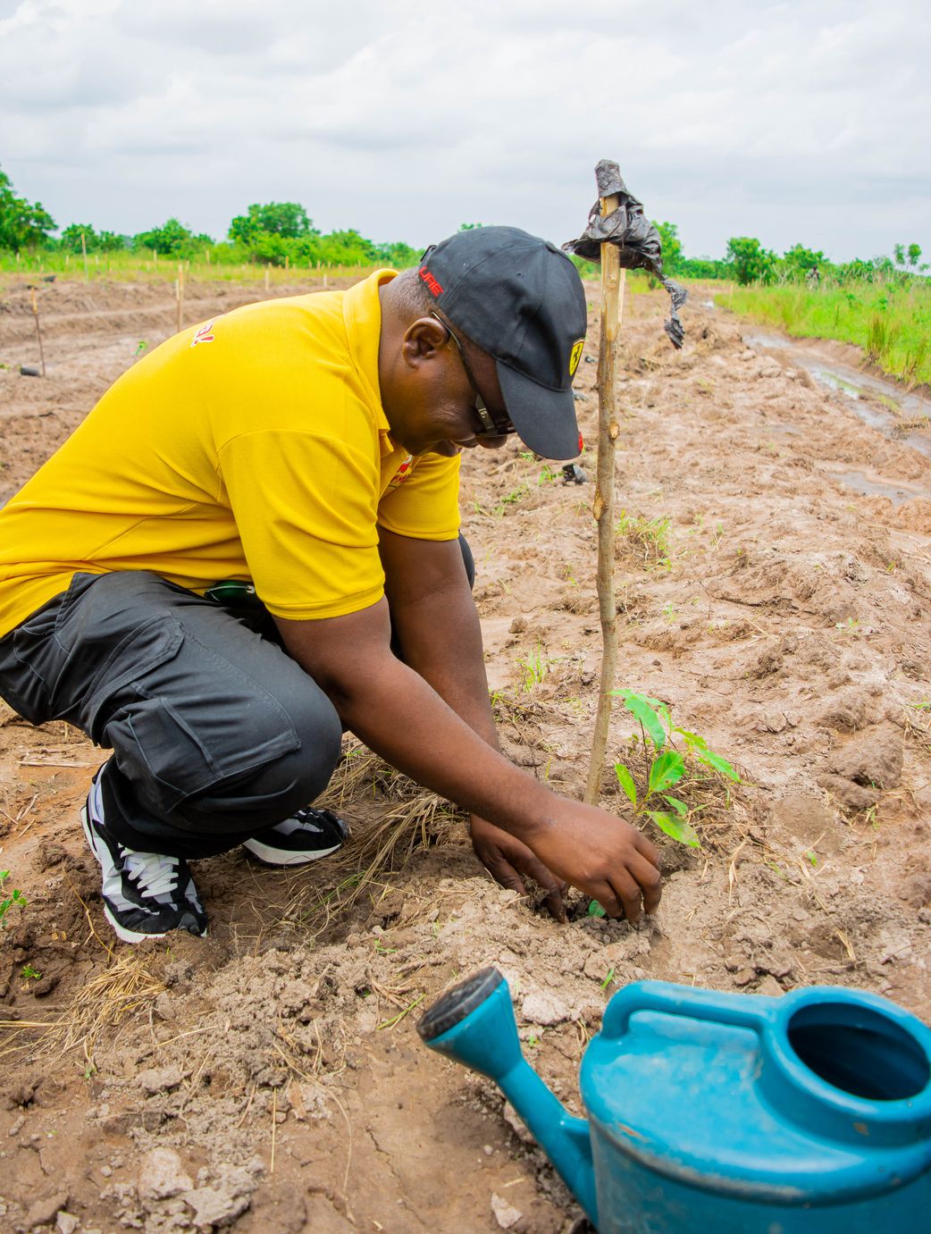 GBfoods Ghana Plants 1,000 Trees in Dodowa as Part of Its Sustainability Agenda