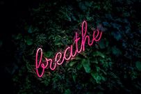 emotional-regulation-is-crucial