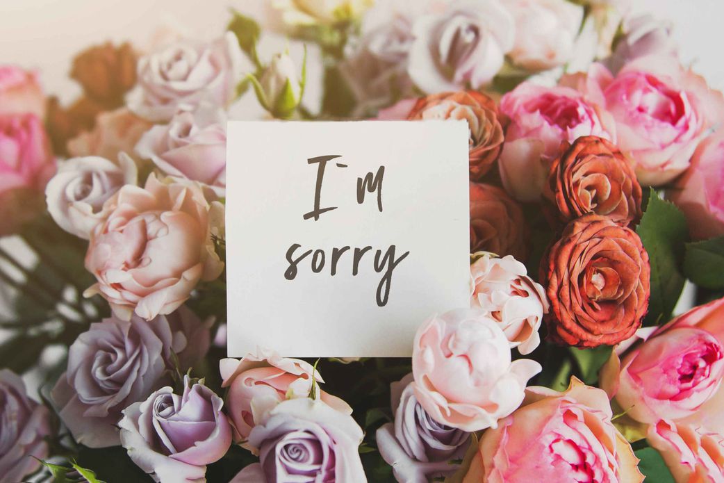 apologise-with-flowers
