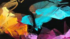 Here's what your favourite colour says about you