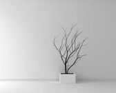 Here's what your favourite colour says about you