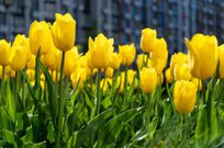 Here's what your favourite colour says about you