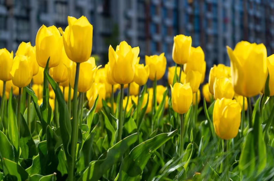 Here's what your favourite colour says about you