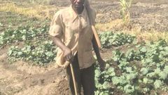 blind farmers in Ghana