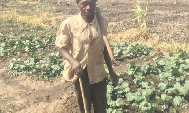 blind farmers in Ghana