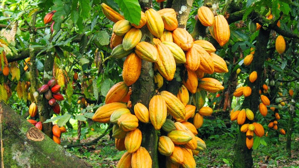Here are 10 reasons why Ghana is a global icon