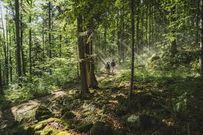 5 daily habits that will change your mental health in 30 days