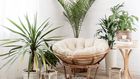 Soft Aesthetics Are Taking Over: Where Comfort Meets Culture