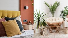 Soft aesthetics are taking over: Where comfort meets culture