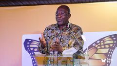 Alan John Kwadwo Kyerematen