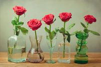 These 5 tips can help you keep your roses fresh for a week and more