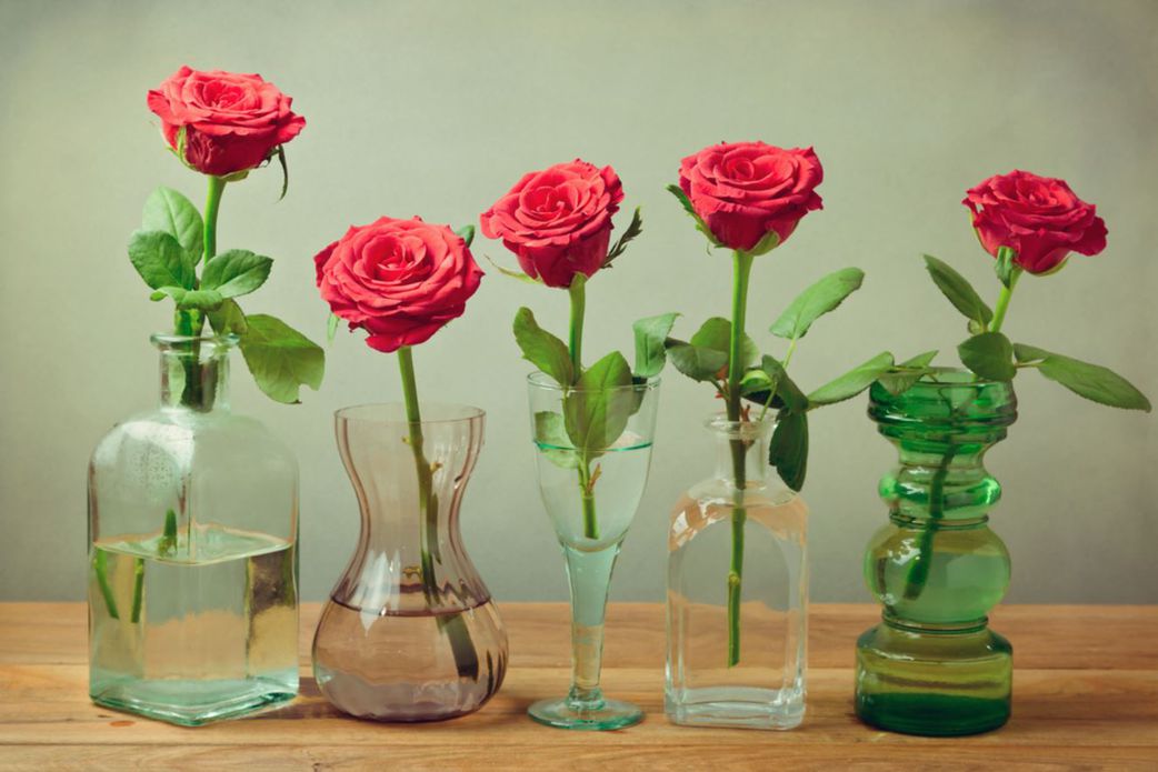 These 5 tips can help you keep your roses fresh for a week and more