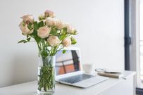 These 5 tips can help you keep your roses fresh for a week and more