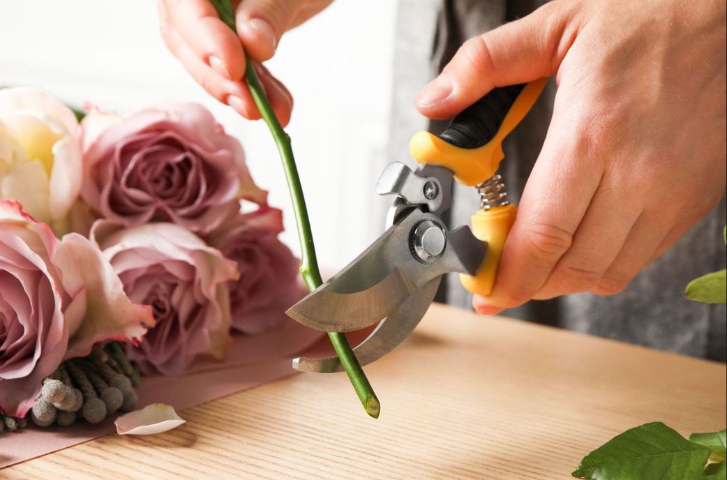 These 5 tips can help you keep your roses fresh for a week and more