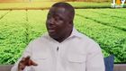 Mustapha Gbande