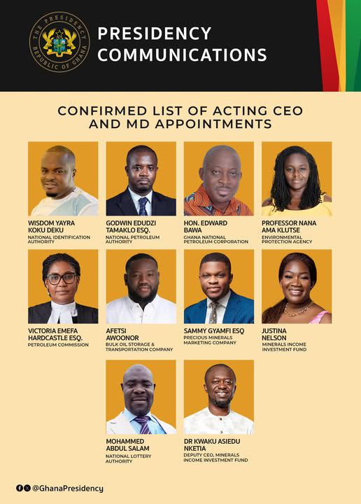 Edudzi Tameklo named acting CEO of NPA; see full list of confirmed appointments