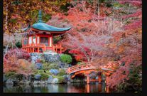 Here are top 5 luxury travel experiences around the world