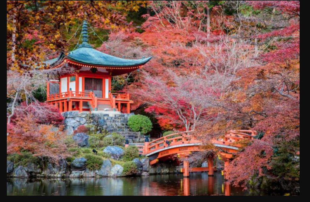 Here are top 5 luxury travel experiences around the world