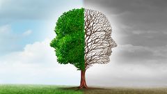 10 common mental disorders you should know about