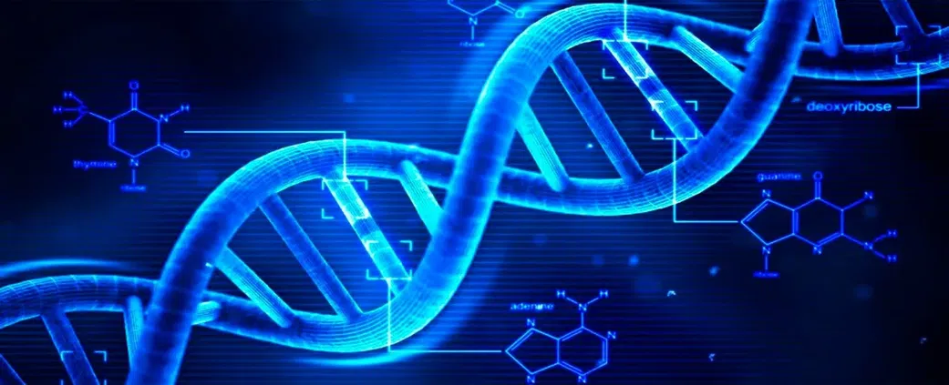 DNA