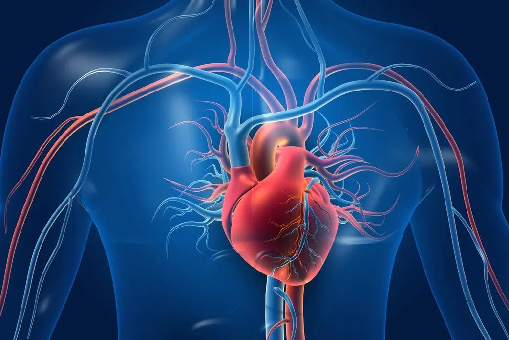 heart-health