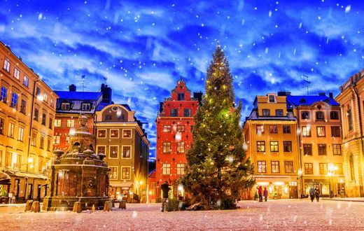 Sweden via campervansweden.com