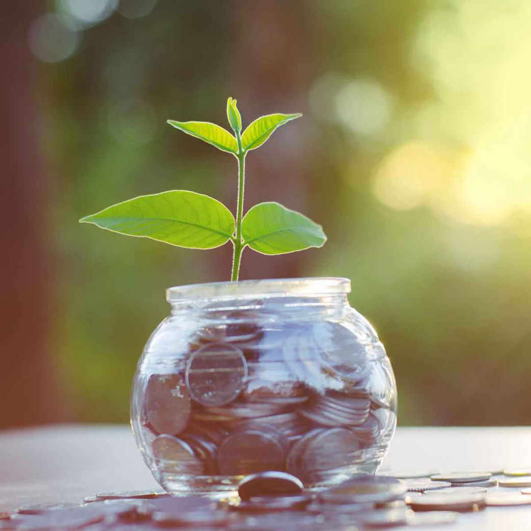 5 risky business ideas you should never invest in