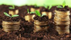 Smart Money Moves: Building your wealth step by step with treasury bills in Ghana