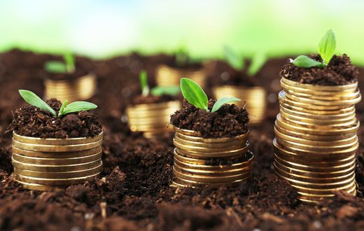 Smart Money Moves: Building your wealth step by step with treasury bills in Ghana