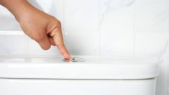 ‘Don’t flush the toilet after 10PM’ – 7 strange laws in the world that actually exist